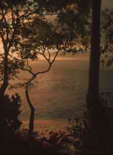 In a world of rush, invite calm.