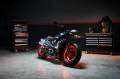 doom harley davidson motorcycle