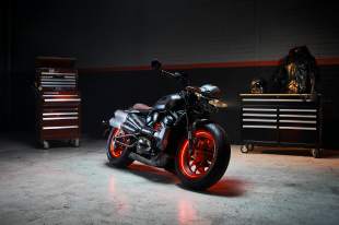 doom harley davidson motorcycle