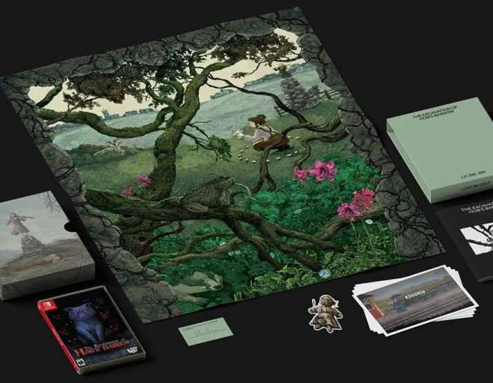 "Editions" has been created around the core pillars of "prestige, quality, preservation, curation, accessibility, consistency, and transparency."