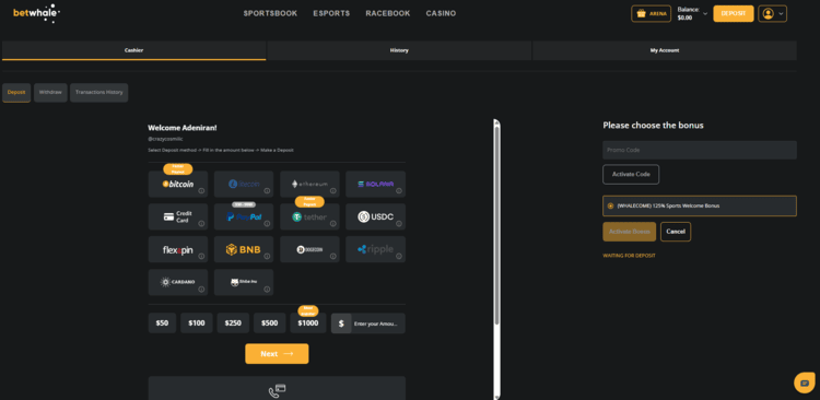 BetWhale banking deposit page