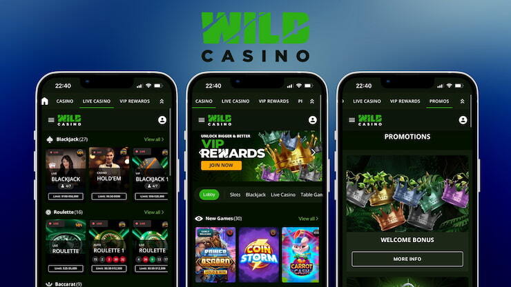 Wild Casino