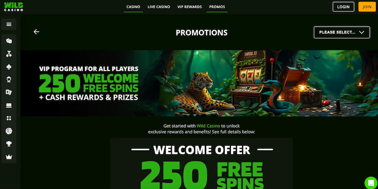 a snapshot of the free spins slots bonus at wild casino