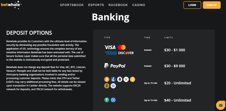 BetWhale Casino banking options