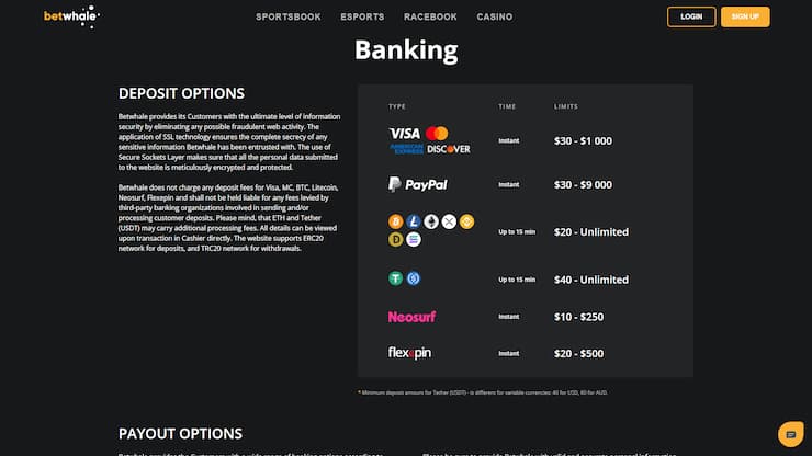 BetWhale Visa Casino Deposits