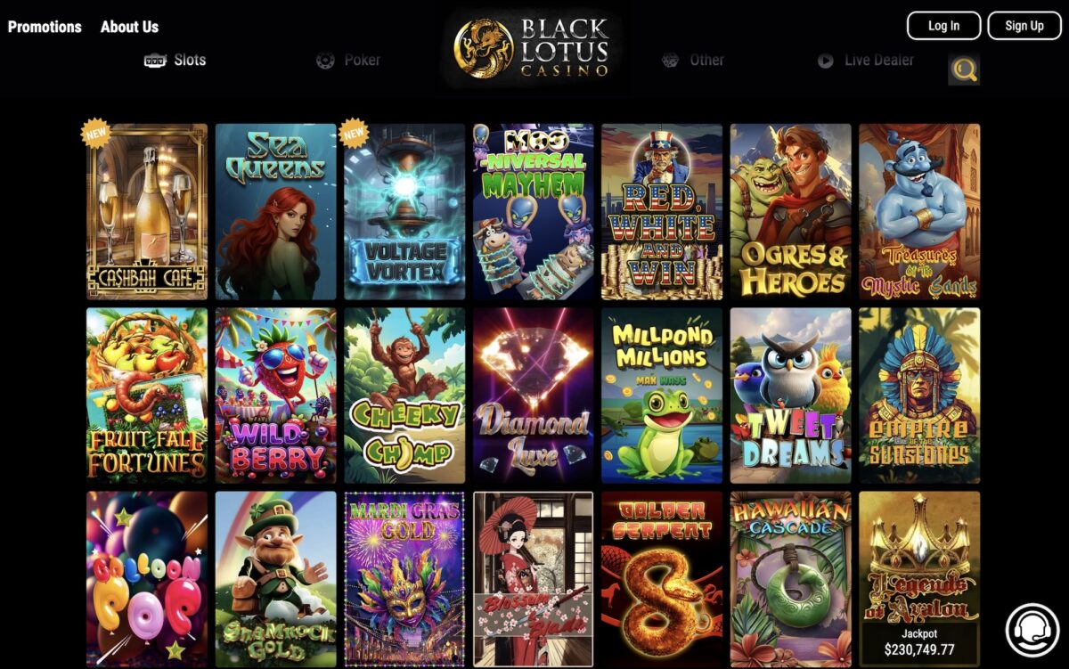 Screenshot of the slots selection at Black Lotus
