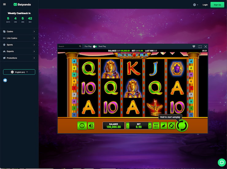 Playing the Book of Ra slot at Betpanda