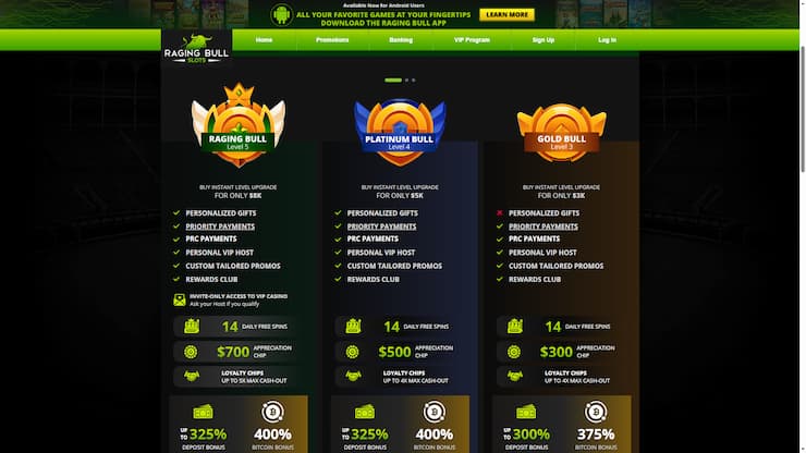 Raging Bull VIP Rewards Tiers