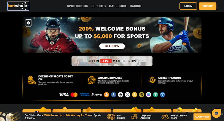 Welcome offer at BetWhale sportsbook