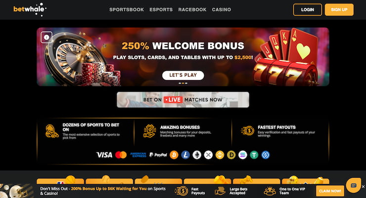 Bonuses at BetWhale casino