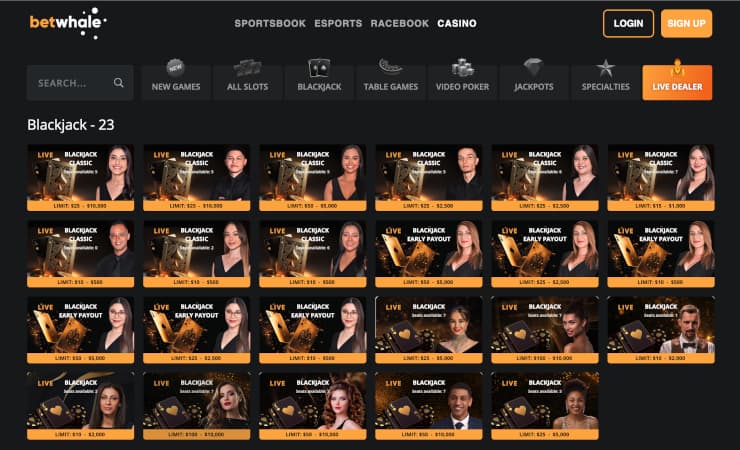 betwhale live dealer blackjack