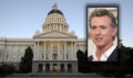 Gavin Newsom
