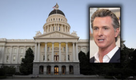 Gavin Newsom