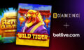 BGaming and Betlive