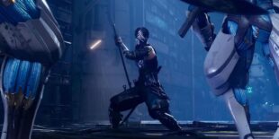 Ninja Gaiden 4