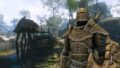 Elden Ring mod