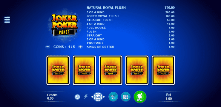 A look at some of the video poker options found at one of our top-ranked Bitcoin casino NZ brands