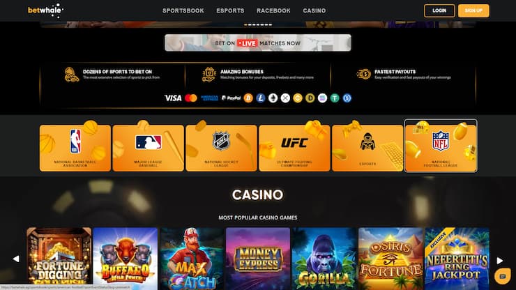 an overview of BetWhale's sports betting product