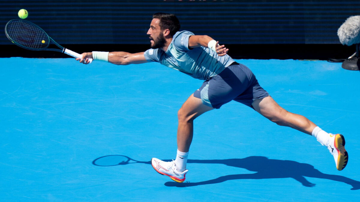 Damir Dzumhur 