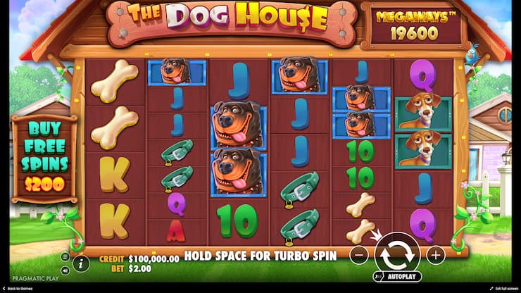 game play screen of the dog house megaways slot