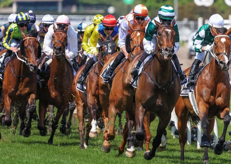 horse betting in canada
