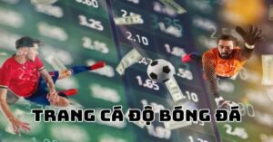 Trang cá độ bóng đá – Dấu hiệu nhận biết trang uy tín và tips cược hay từ cao thủ