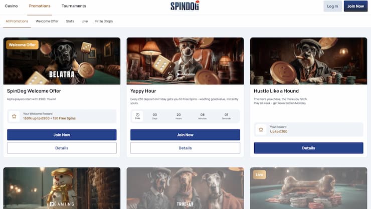 An image of additional SpinDog casino promotions