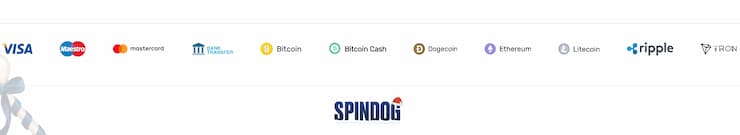An image of payment methods from our SpinDog review