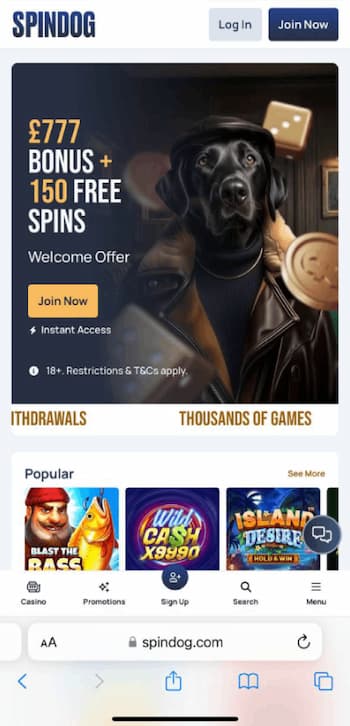 A mobile image from our SpinDog review