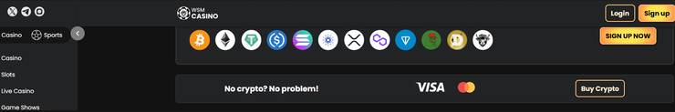 A screenshot of the WSM Casino payment methods