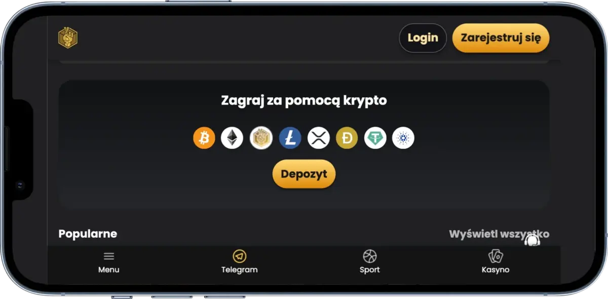 kasyno za krypto z natychmiasowymi wypłatami - luckyblock